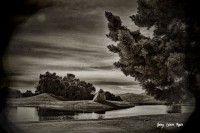 /album/fotogaleria-fotos-b-n/hyt-640x480-jpg/